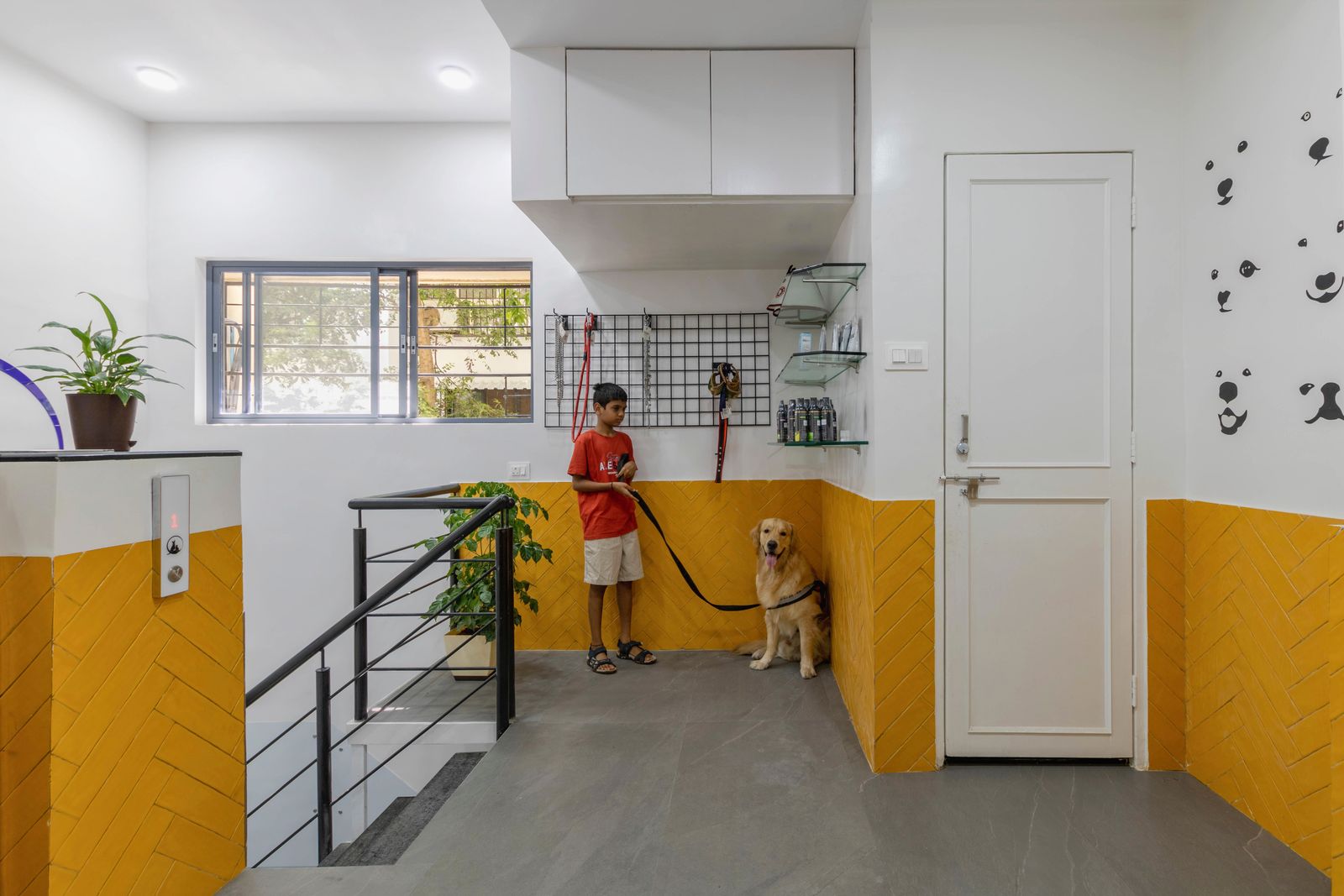 Vet Care — Commercial — Pune